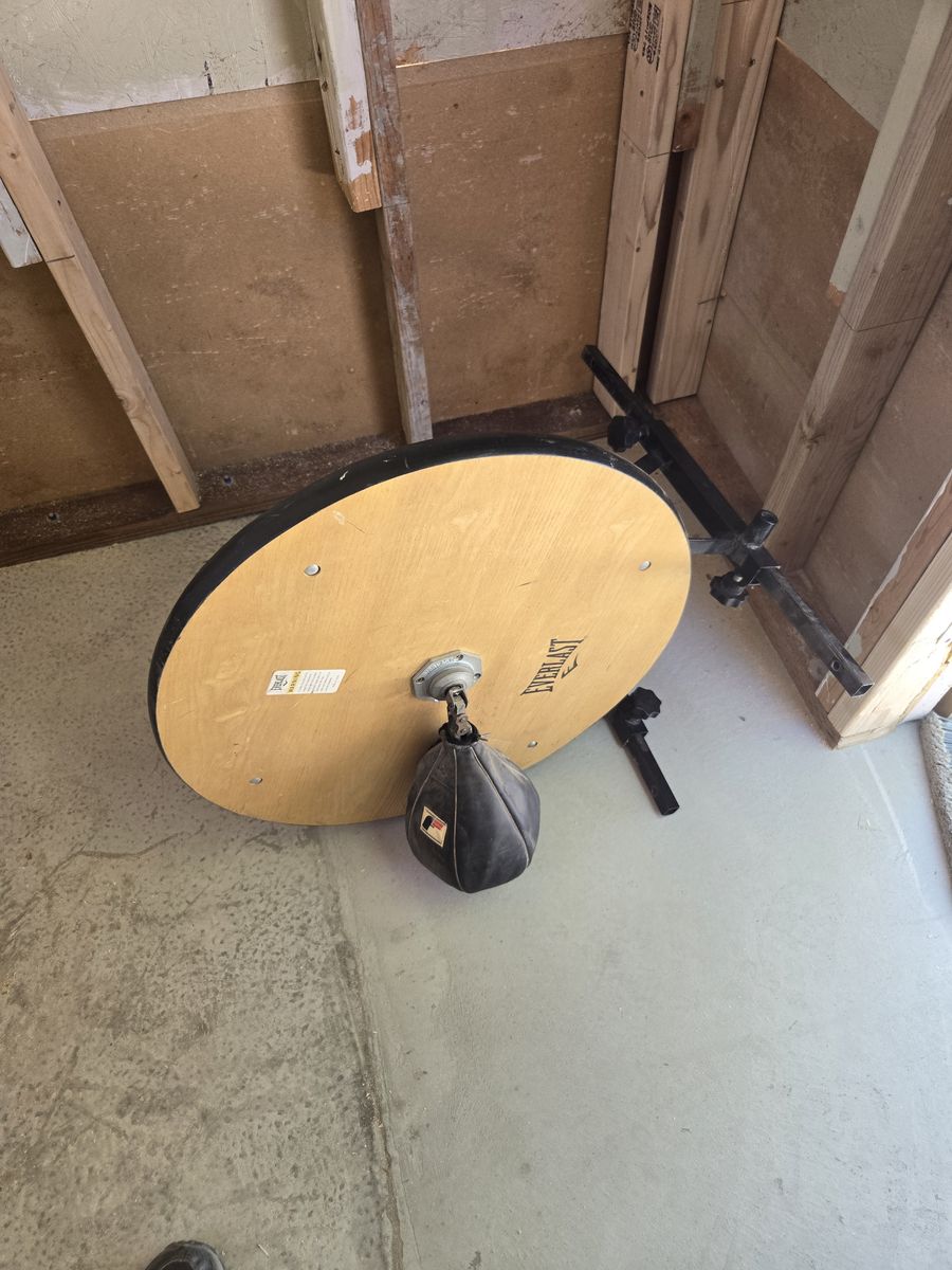 Speed bag