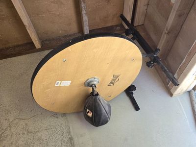 Speed bag