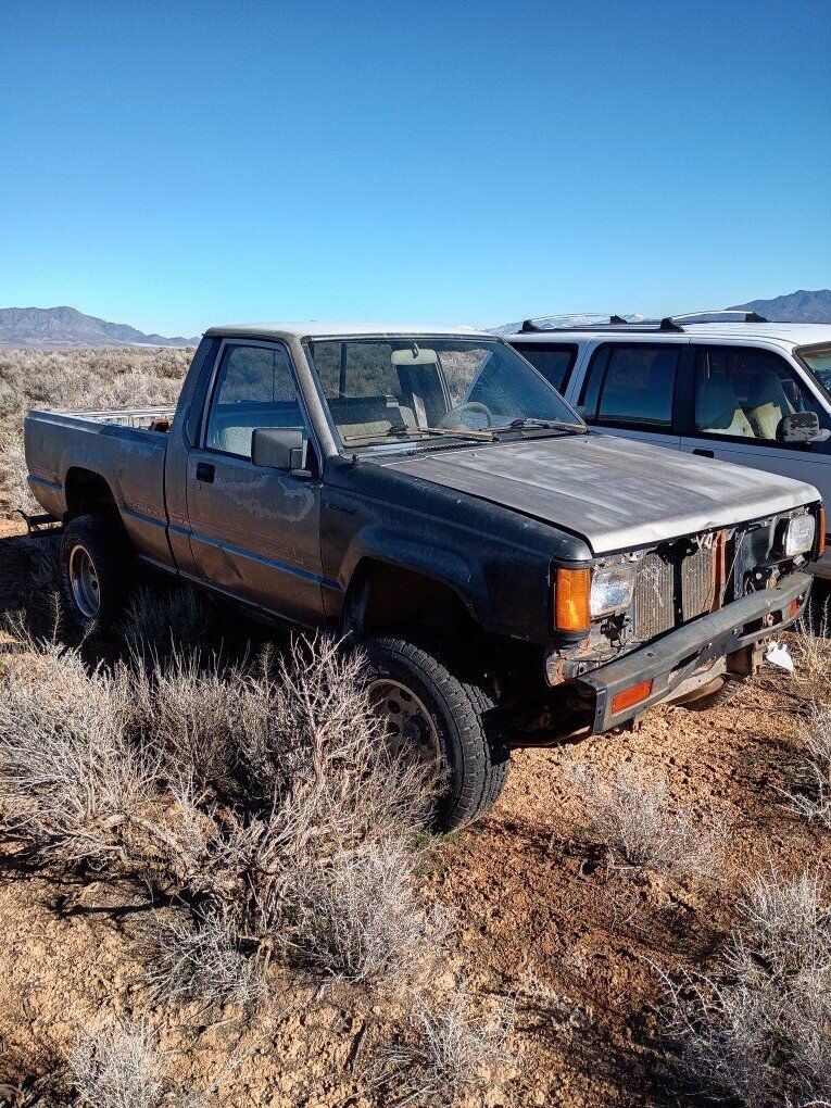 multiple vehicles. package deal all have titles