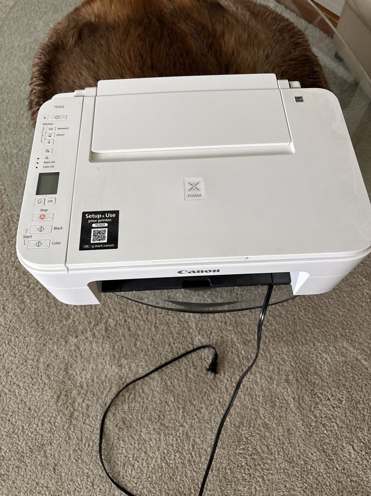 Printer Canon PIXMA TS3122