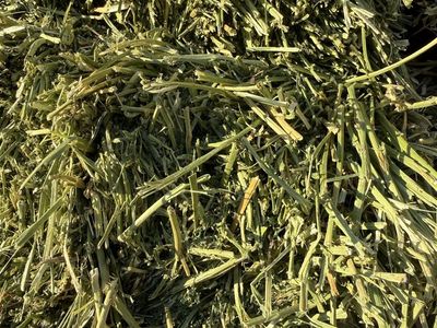 Alfalfa bundles
