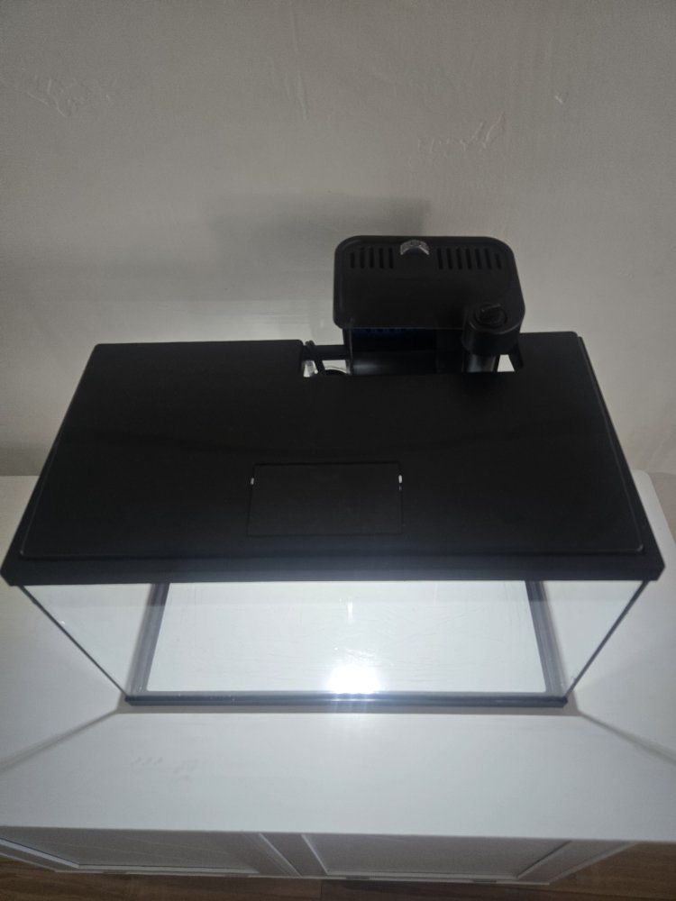 Main image 3