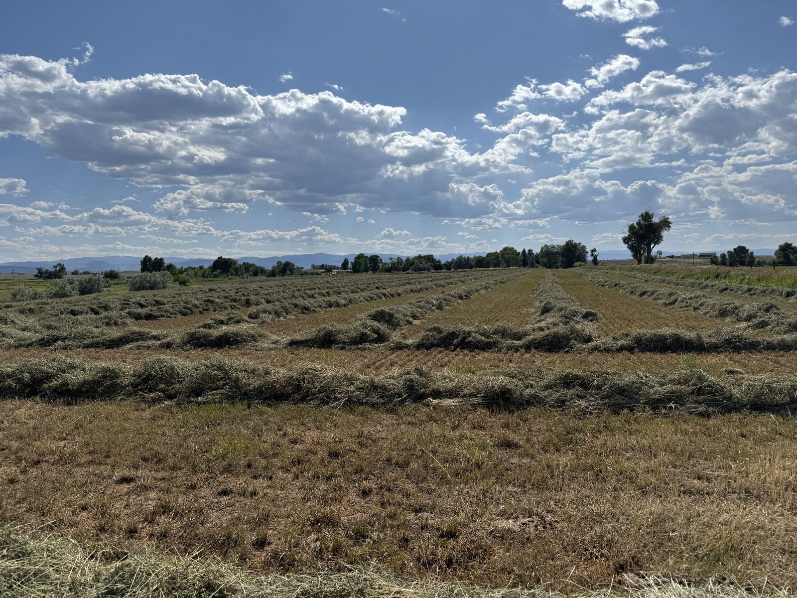 ISO farm ground