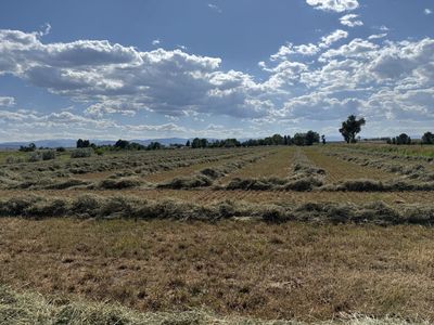 ISO farm ground