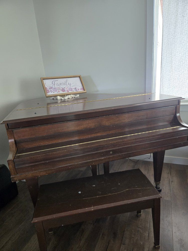 Main image 4