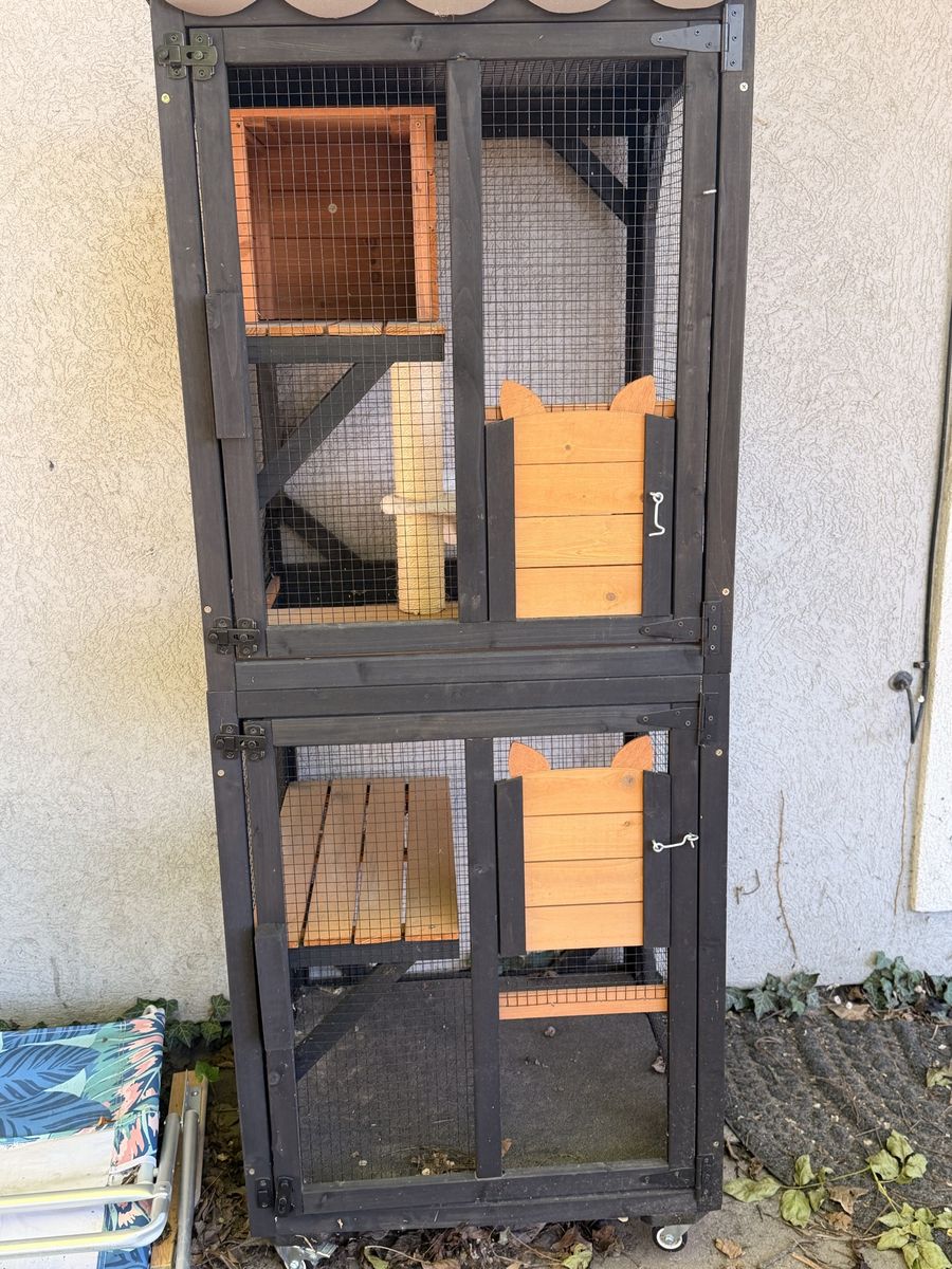 Catio