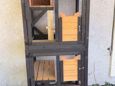 Catio