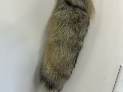 Golden island fox tail keychain
