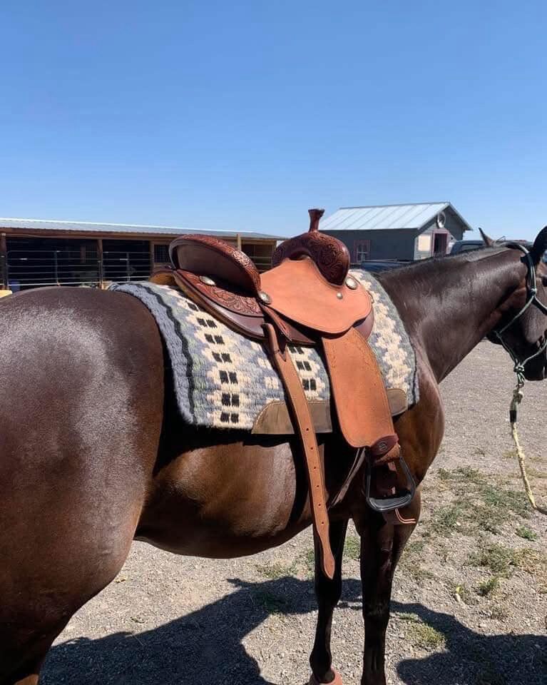 Barrel Saddle Custom Made