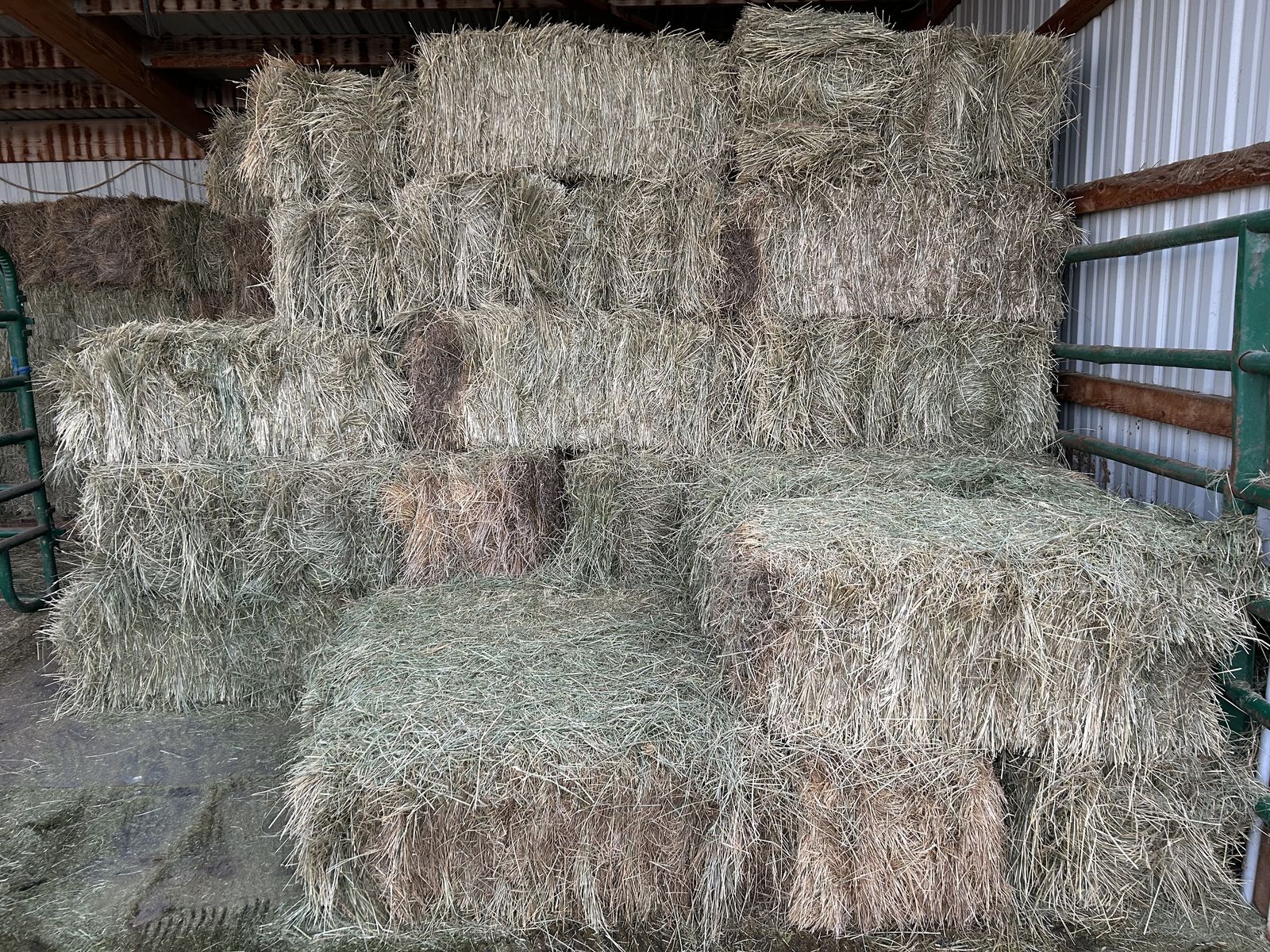 Grass Hay
