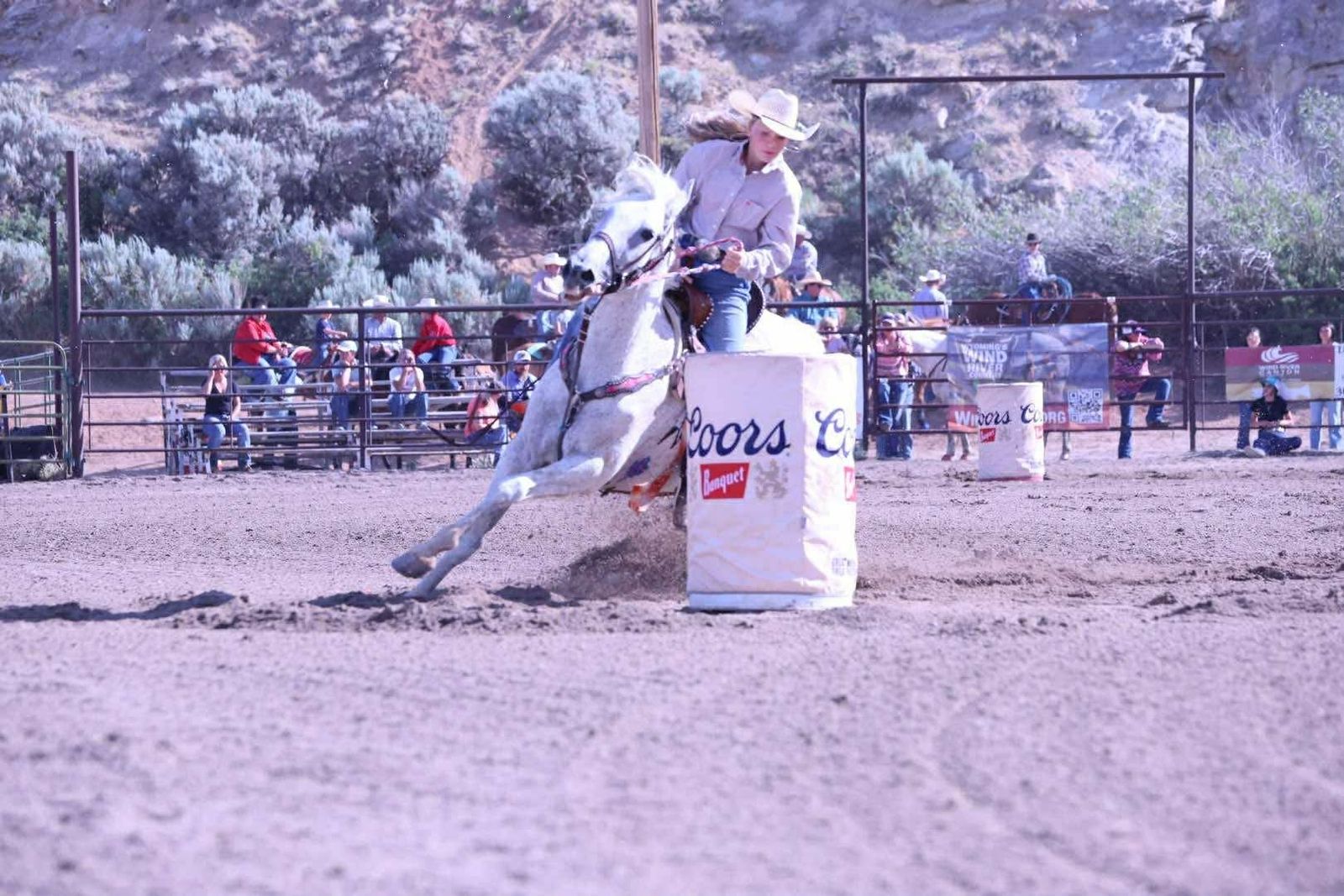 Gentle 8 year old mare