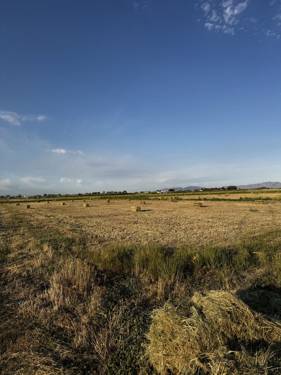 Main image 5