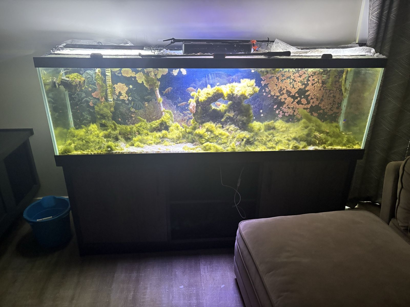 150 gallon saltwater aquarium