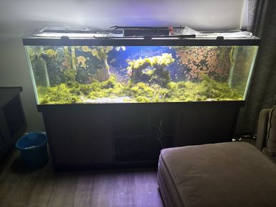 150 gallon saltwater aquarium