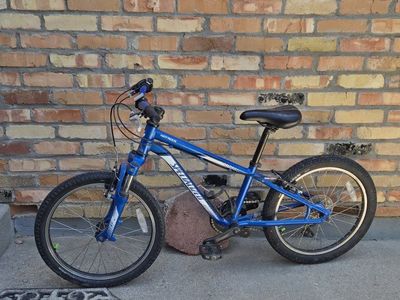 Specialized Hotrock 20-inch Kids' Mountain Bike, Blue, Front Suspension