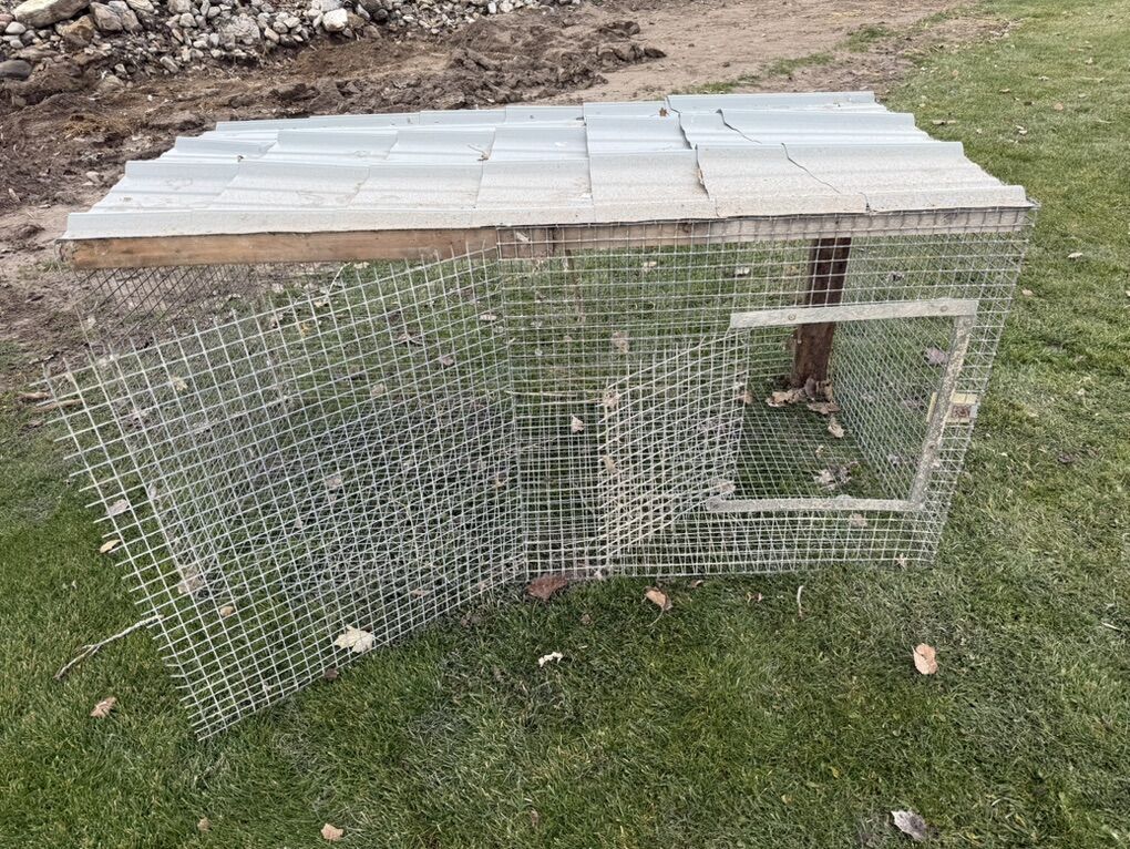 Bird Pen/rabbit Hutch