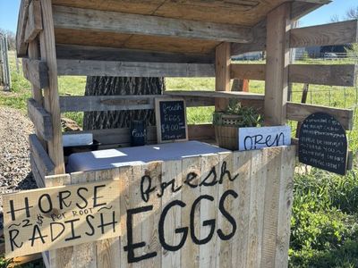 Farm Stand