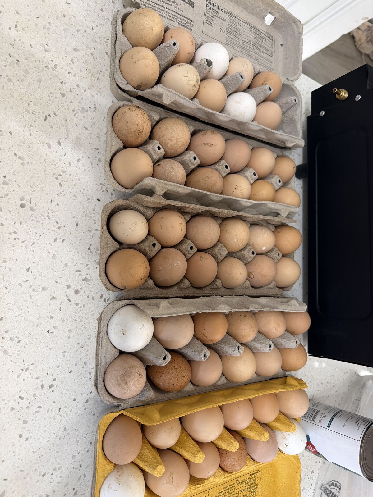 Fresh Eggs (East Layton)