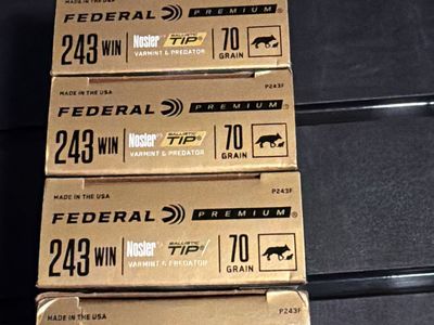243 Ammo