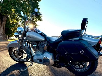 2005 Harley Softail