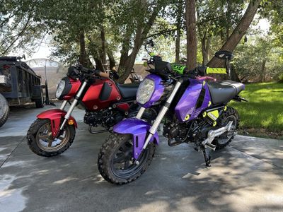 Two Honda Groms for a Cute Couple