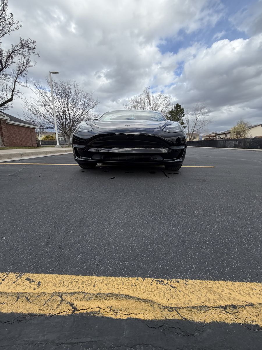 2019 Tesla Model 3 Standard Range Plus