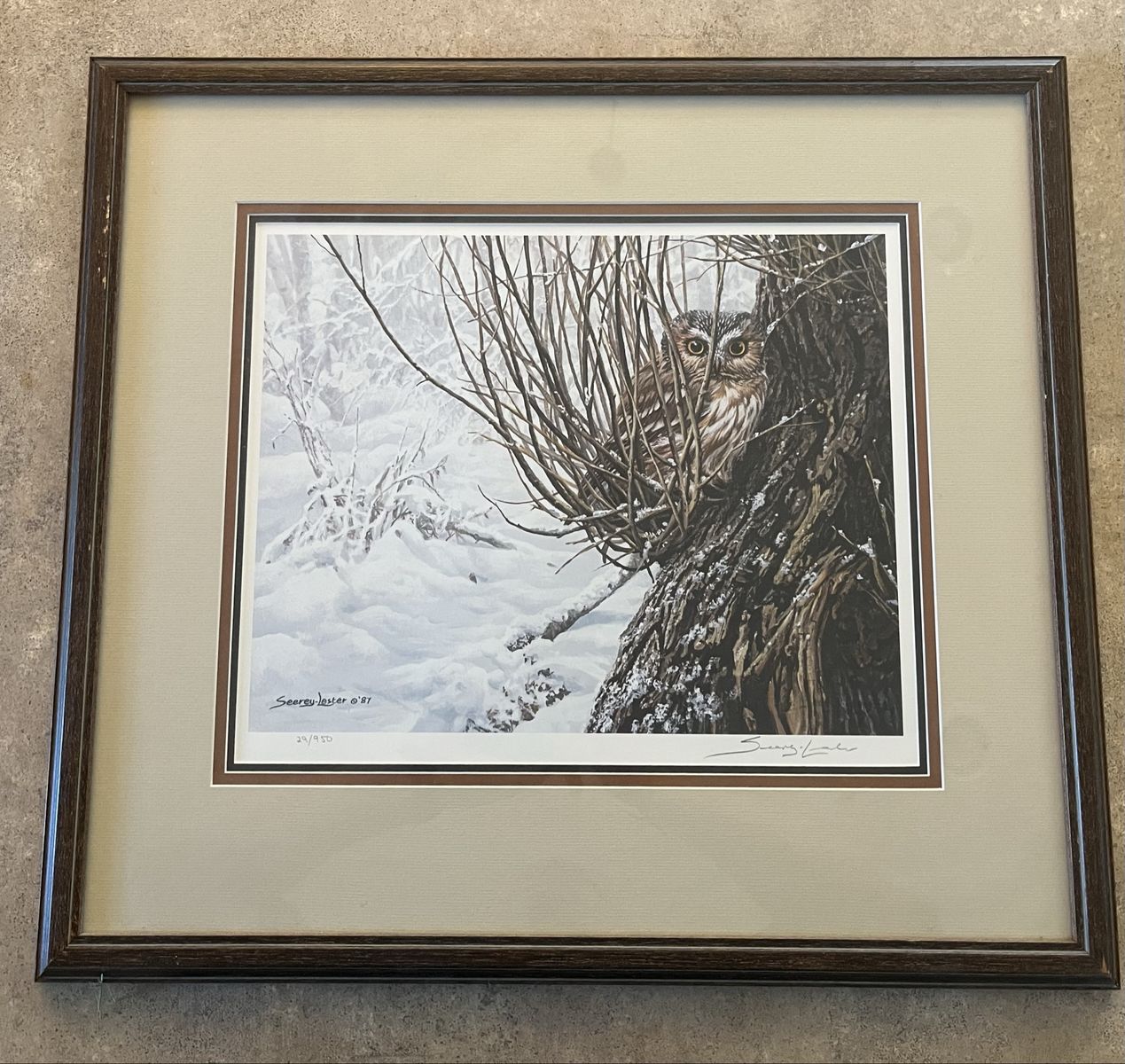 Seerey-Lester "Hiding Place - Saw-Whet Owl" Signed & Numbered Print 29/950 Framed 1987