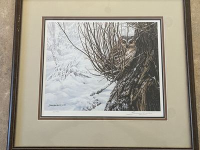 Seerey-Lester "Hiding Place - Saw-Whet Owl" Signed & Numbered Print 29/950 Framed 1987