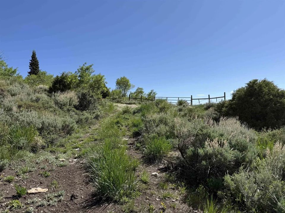 Main image 19