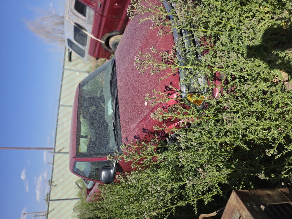 97 s 10. body only for sale.