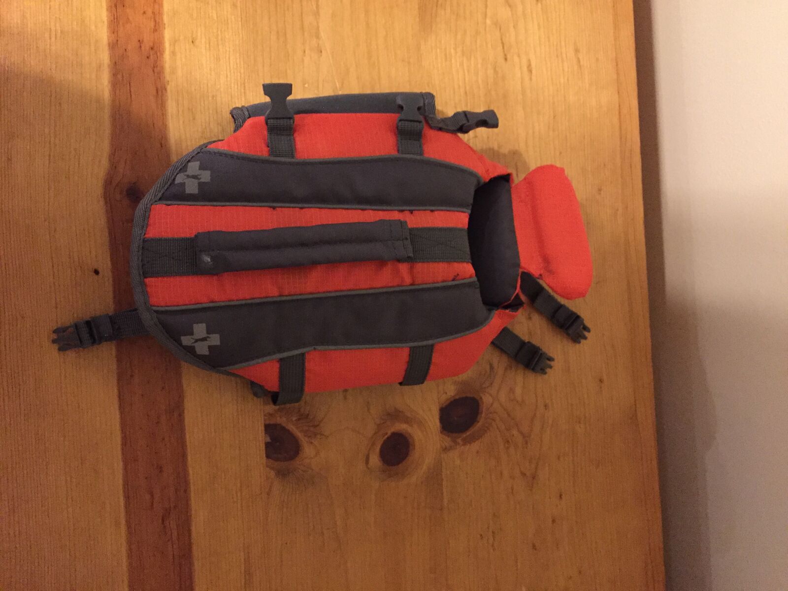 Extra small dog life jacket