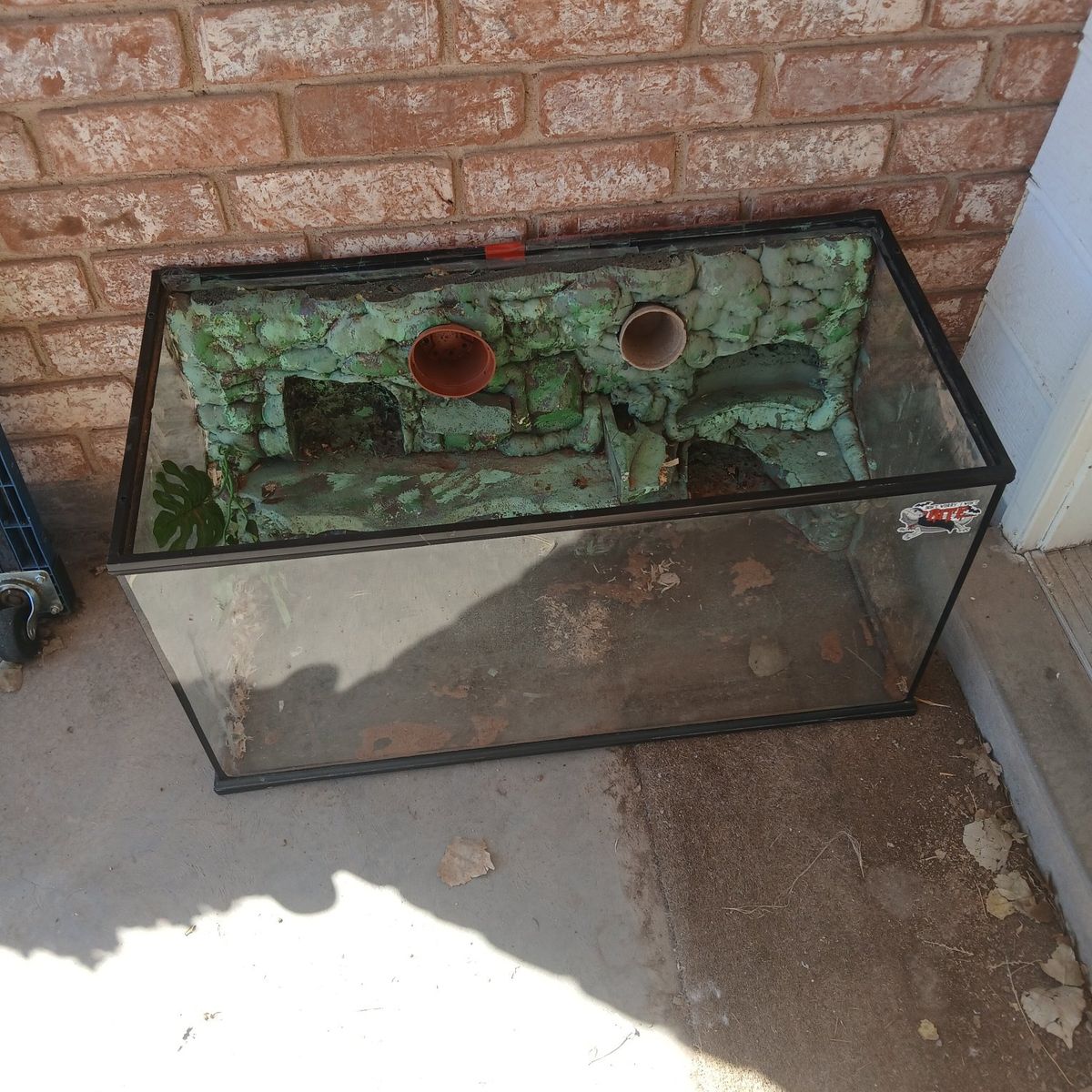 Reptile tank twenty dollars