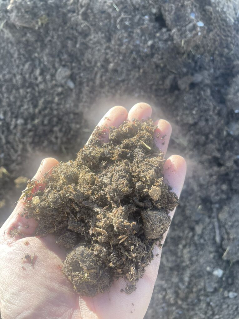 Top Quality Garden Compost