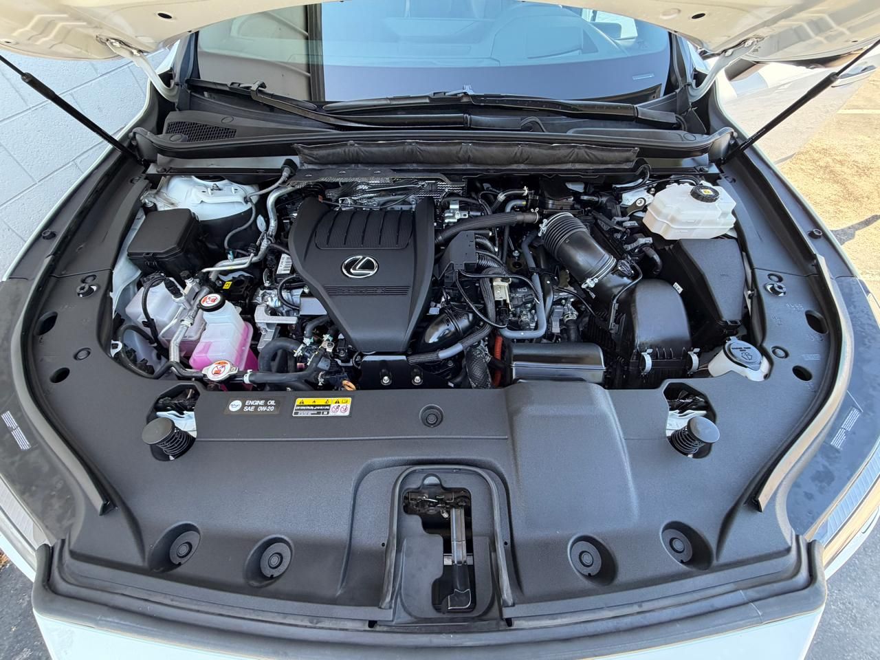 Main image 6