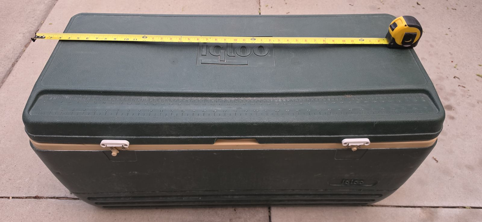Cooler, extra large