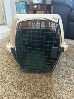 Hard Plastic Pet Carrier Travel Crate