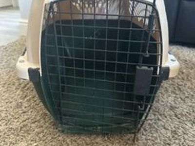 Hard Plastic Pet Carrier Travel Crate