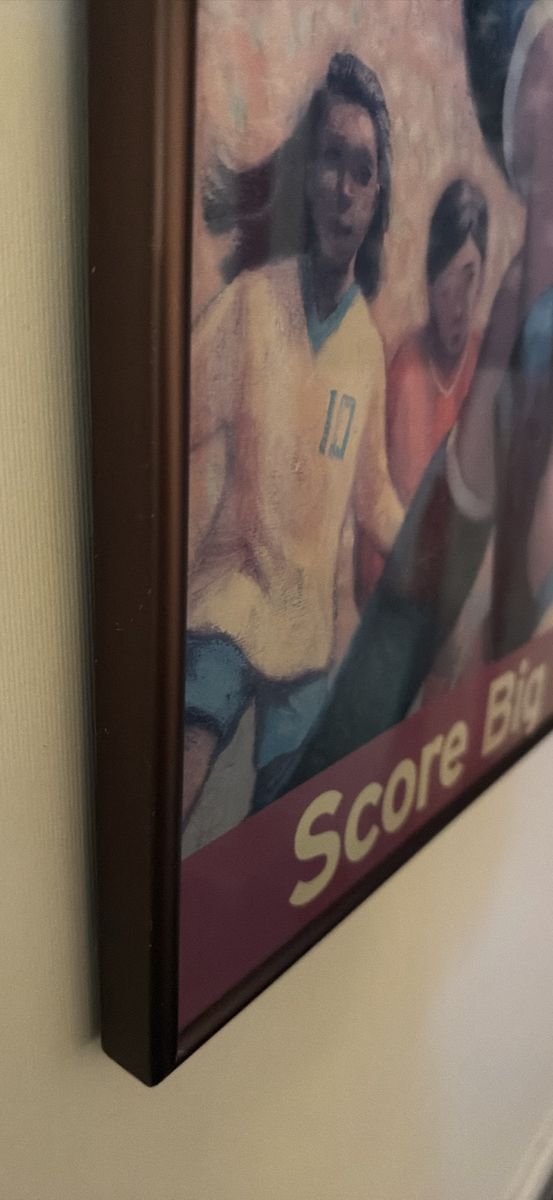 Medium-Large Soccer Photo