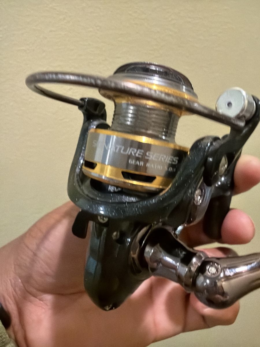 Spinning Reel