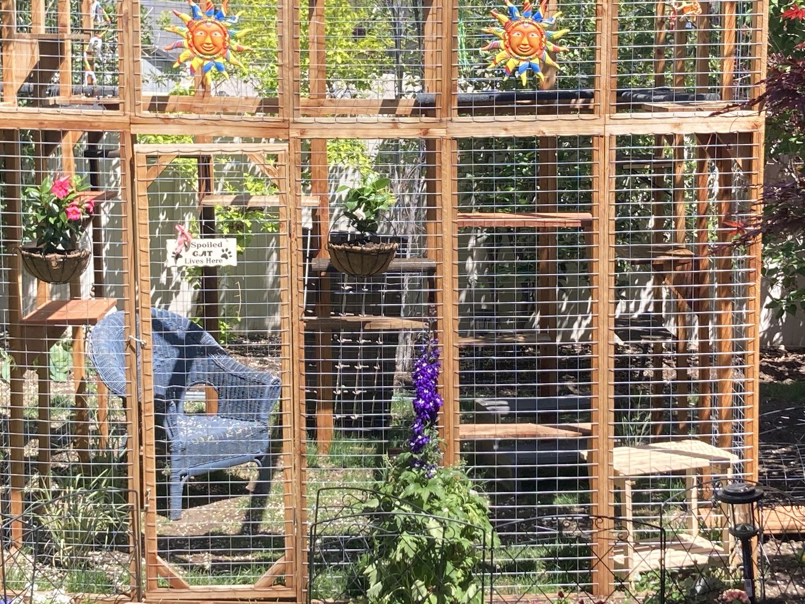 Cat structure (catio)