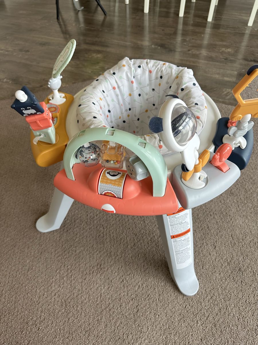 Fisher Price Stand and Play