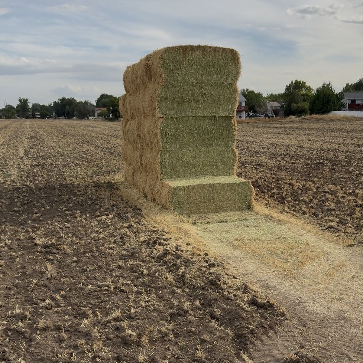 3-way hay