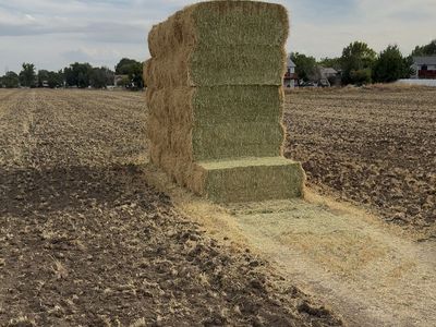 3-way hay