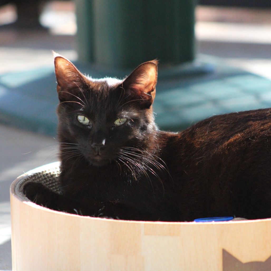 Hello my name is Ryder