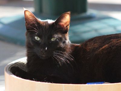 Hello my name is Ryder