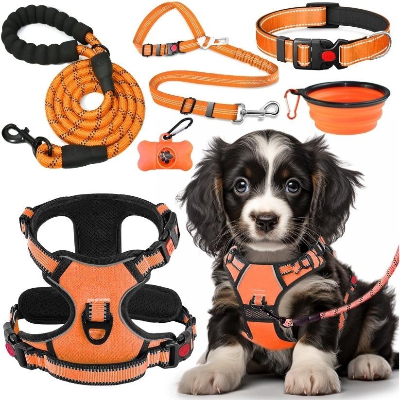 No Pull Dog Harness, Collar & Leash Set (Orange-Medium)