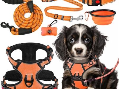 No Pull Dog Harness, Collar & Leash Set (Orange-Medium)
