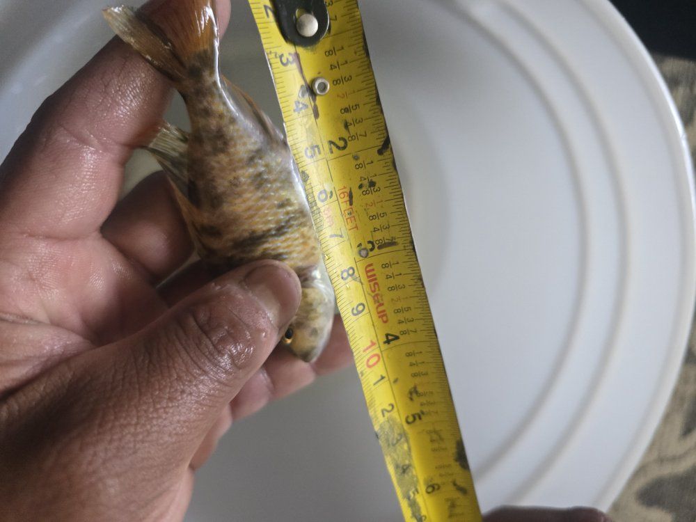 Main image 13