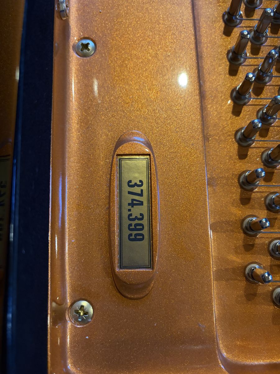 Main image 6