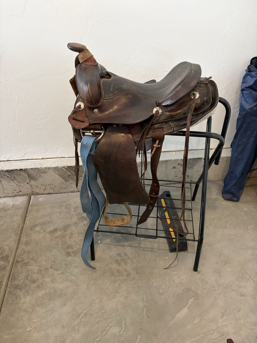 15 “ Saddle